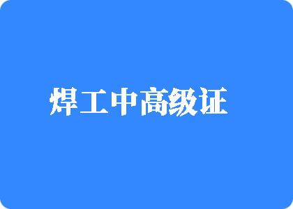 免播放器日比片焊工中高级证